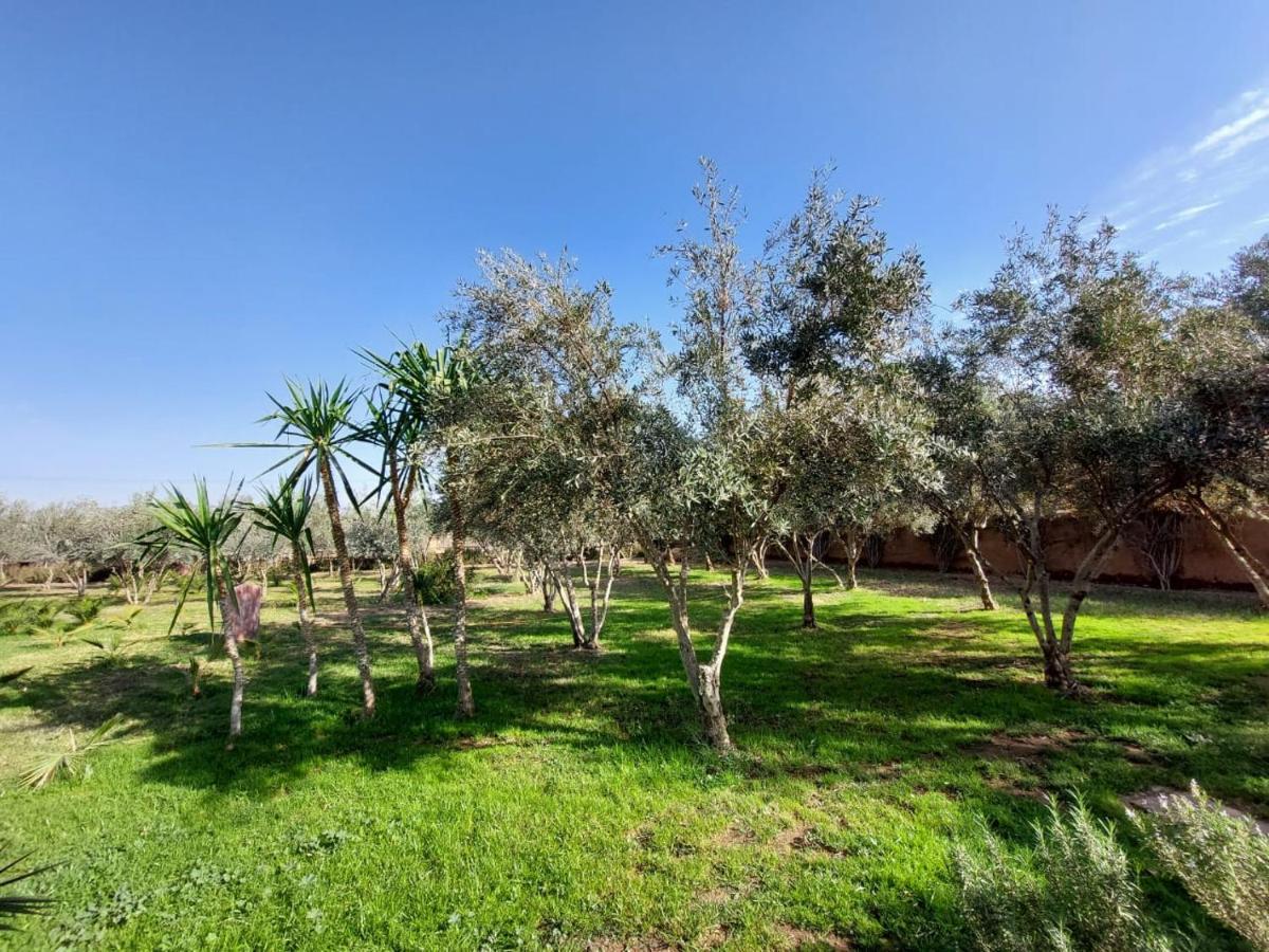 לינה וארוחת בוקר מרקש Manzal Lahbab מראה חיצוני תמונה